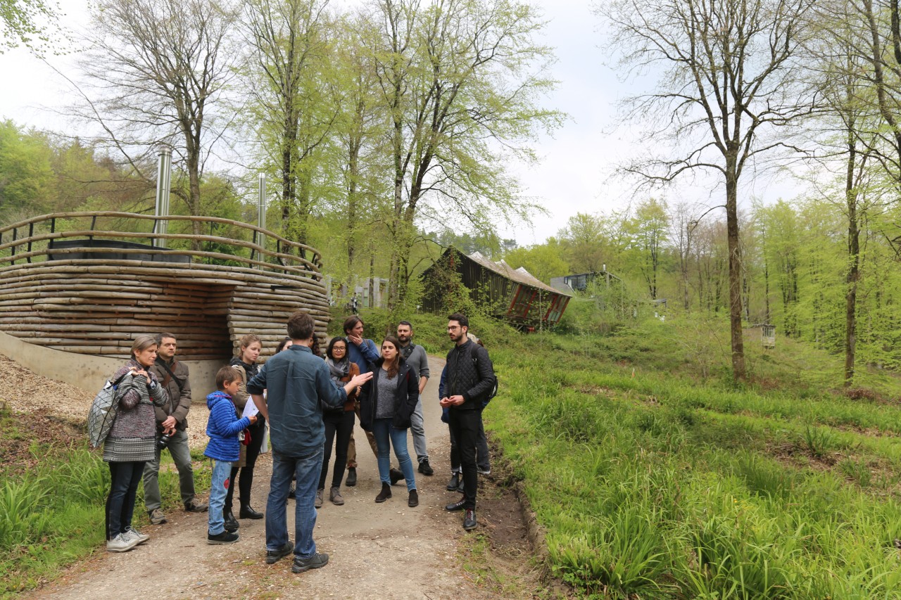 Hooke Park Members’ Trip: Campus tour + foraging and forestry walks ...